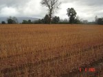 [Simplon 1.JPG]